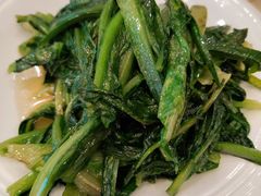 清炒油麦菜-玉华宫宾馆·餐厅(铜川驻京办店)