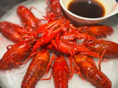-红盔甲·小龙虾(长寿路店)