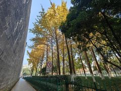 -东水关遗址公园