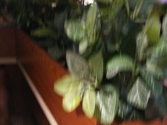 -聚盛源蒸汽海鲜火锅烤肉自助(巨川金海岸购物广场店)