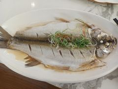 -蟹天蟹地农家菜·阳澄湖大闸蟹(浅水湾店)