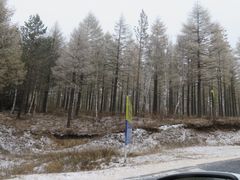 -塞罕坝国家级自然保护区