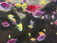 -苏州海洋馆