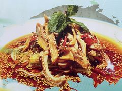 怪味肚丝-蜀味民肴·四川餐饮名店(双桥店)