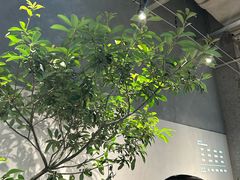 -喜茶(珠海华发商都店)