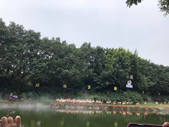 -广州长隆飞鸟乐园