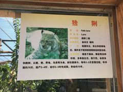 -石家庄市动物园