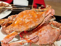 -富力希尔顿酒店·地阔自助餐厅