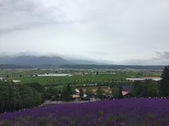 -富田农场