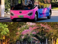 -攀枝花公园