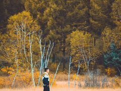 -塞罕坝国家级自然保护区