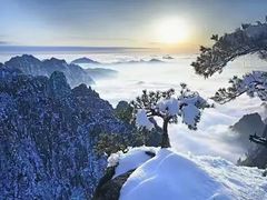 -黄山风景区