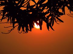 -吴淞炮台湾湿地森林公园烧烤区