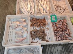 -东河市场