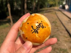 -风车面包