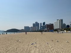 -海云台海滩