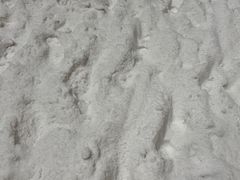 -长沙湘江冰雪世界