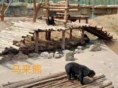 -北京野生动物园