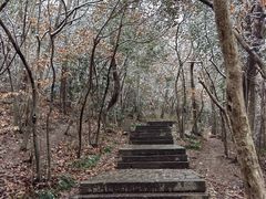-紫金山山顶公园
