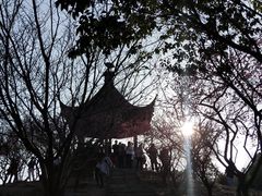 -香雪海
