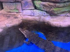 -顺德南宏海立方海洋公园