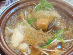 -大中鱼翅 Taitong Shark Fin