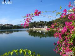 IMG_0045-三亚亚龙湾凯莱仙人掌度假酒店