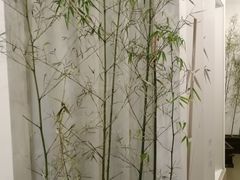 -唐诗楼(竹林庭院店)