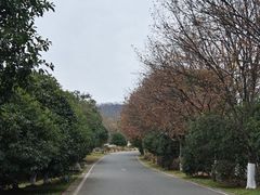 -南京市江宁方山