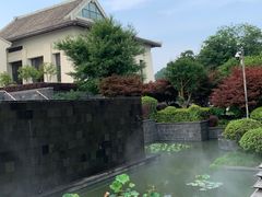 -东钱湖旅游度假区