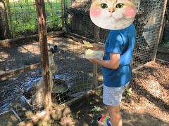 -意大利农场度假村