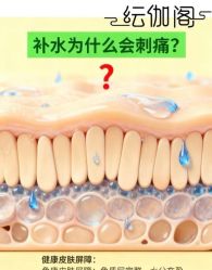 -玛莲朵·海菲秀冰珀科