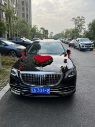 -蚂蚁婚车