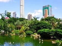 -九龙公园