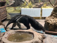 -济南野生动物世界