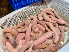 -老大连·海肠捞饭·大连海鲜大连菜(西安路店)