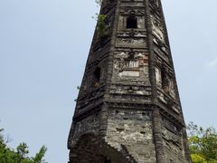 -上海佘山国家森林公园天马山园