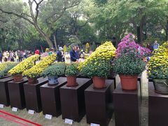 -汇龙潭