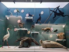 -国家自然博物馆