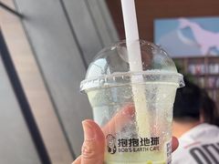 -抱抱地球咖啡馆(国家海洋博物馆店)