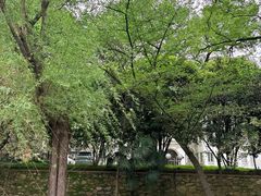 -湖北美术学院(昙华林校区)