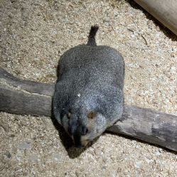 -酷嗒动物文化乐园(cutezoo西溪乐天城店)