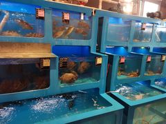 水产区-老六海鲜城