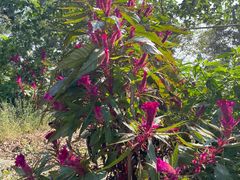 -敬亭山风景名胜区