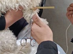 -关爱动物医院·心脏·中兽医·异宠(金牛路分院)