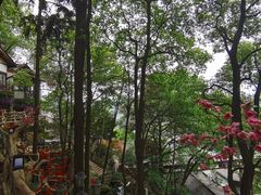 -巴倒烫陆派重庆火锅(南山店)