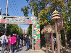 -上海长兴岛郊野公园