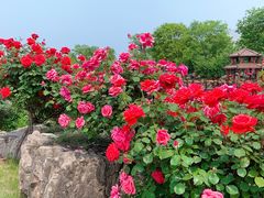 -南通洲际绿博园