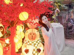 -正佳雨林生态植物园