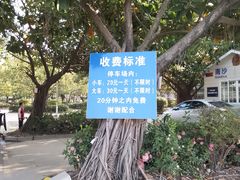 -百万葵园